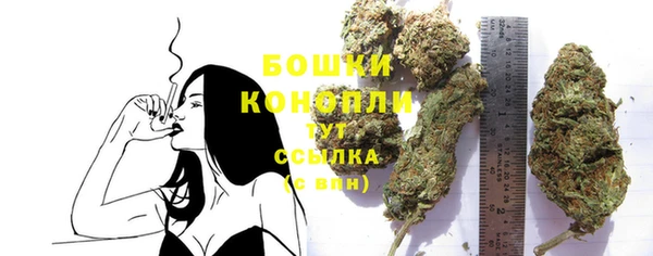 PSILOCYBIN Нефтегорск