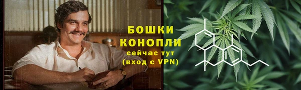 PSILOCYBIN Нефтегорск