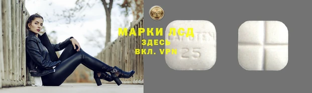 ECSTASY Нефтекумск