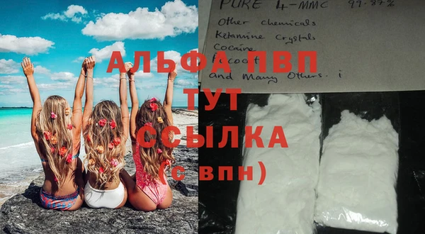 PSILOCYBIN Нефтегорск