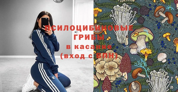 ECSTASY Нефтекумск