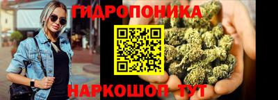 прущие грибы Изобильный