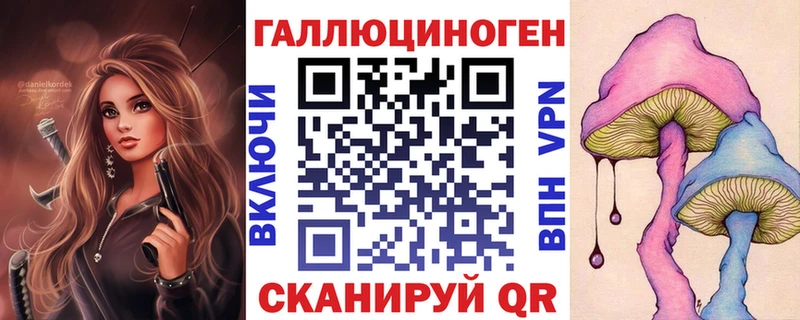 купить цена Уссурийск Псилоцибиновые грибы Psilocybe