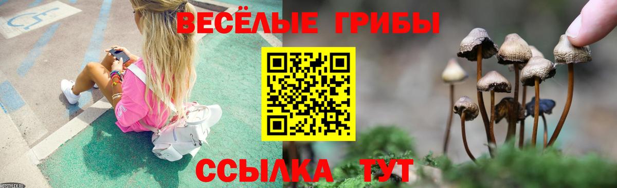 Галлюциногенные грибы мицелий  Вход с VPN  наркошоп  Уссурийск 